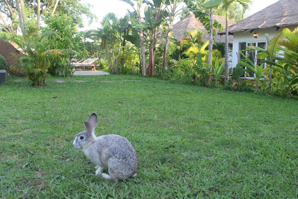 Blue Sea Boutique Hotel Sihanoukville Bagian luar foto